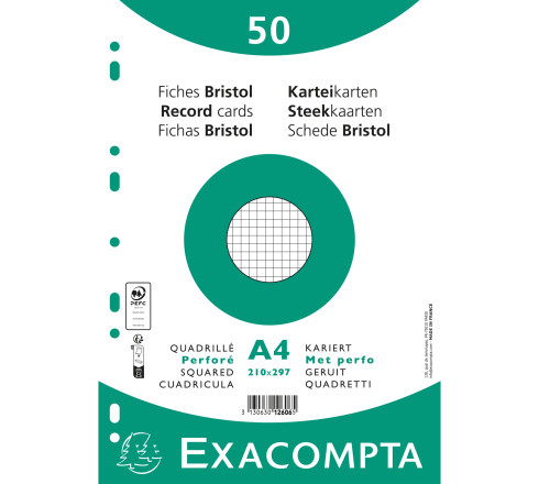 Paquet 50 fiches sous film - bristol quadrillé 5x5 perforé 210x297mm