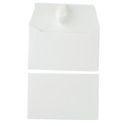 Paquet de 20 enveloppes Pollen 90x140mm 120g blanc