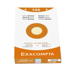 Étui de 100 fiches - bristol quadrillé 5x5 perforé 125x200mm