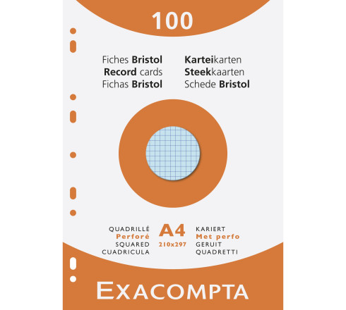 Étui de 100 fiches - bristol quadrillé 5x5 perforé 210x297mm