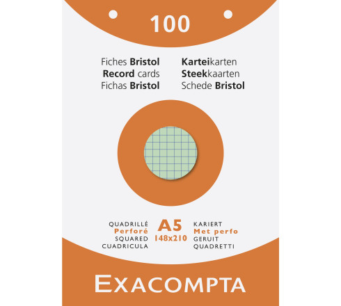 Étui de 100 fiches - bristol quadrillé 5x5 perforé 148x210mm