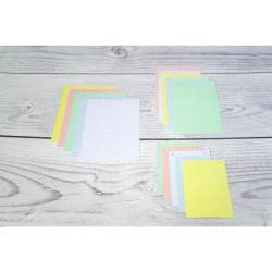 Étui de 100 fiches - bristol quadrillé 5x5 perforé 148x210mm