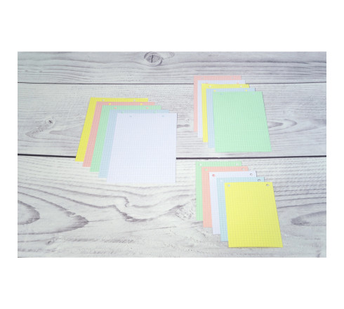 Étui de 100 fiches - bristol quadrillé 5x5 perforé 148x210mm