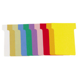 Carton de 10 étuis de 100 fiches en T n°2 - L60 x H85 x l48 x h15 mm