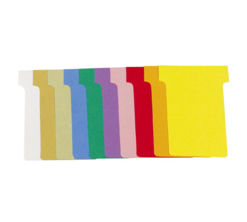 Carton de 10 étuis de 100 fiches en T n°2 - L60 x H85 x l48 x h15 mm