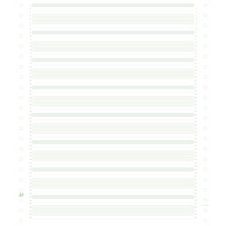 2000 feuilles de listing zoné vert 240x11 1pli Bandes Caroll Non Détachables 60g