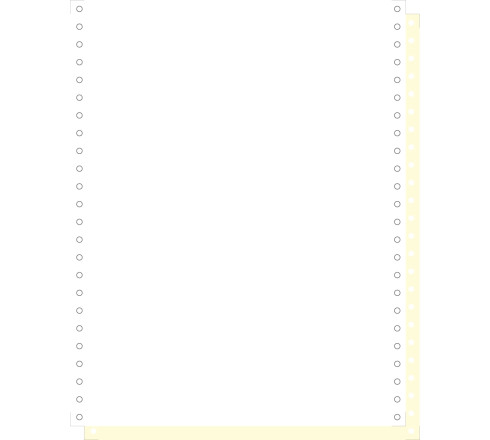 1000 feuilles de listing autocopiantes blanc/jaune 240x12 2plis Bandes Caroll Détachables