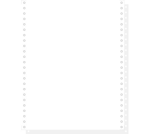 1000 feuilles de listing autocopiantes blanc 240x12 2plis Bandes Caroll Détachables