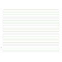 2000 feuilles de listing zoné vert 380x11 1pli Bandes Caroll Non Détachables 70g