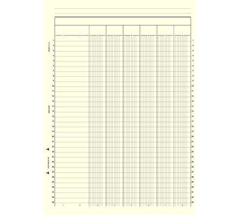 Dauphinbloc 297X210 6 colonnes 50 feuillets