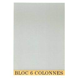 Bloc de contrôle comptable 29,7x21cm - 6 colonnes - 70 feuillets