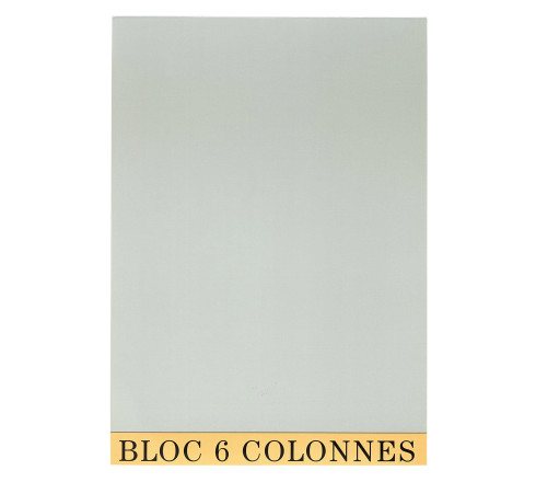 Bloc de contrôle comptable 29,7x21cm - 6 colonnes - 70 feuillets