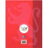 Cahier DYS format 17x22 cm, 48 pages interligne 3 mm
