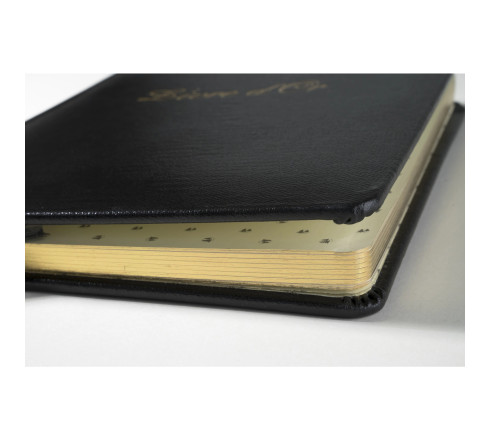 Livre d'or Cuir Alpille 140 pages ivoire - 26x22cm vertical