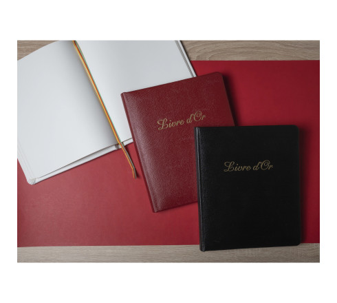 Livre d'or Cuir Alpille 140 pages ivoire - 26x22cm vertical