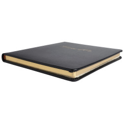 Livre d'or Cuir Alpille 140 pages ivoire - 26x22cm vertical