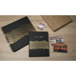 Livre d'or 100 pages tranche or Aramy