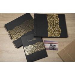 Livre d'or 100 pages tranche or Aramy