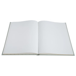 Livre d'or 100 pages tranche or Ellipse