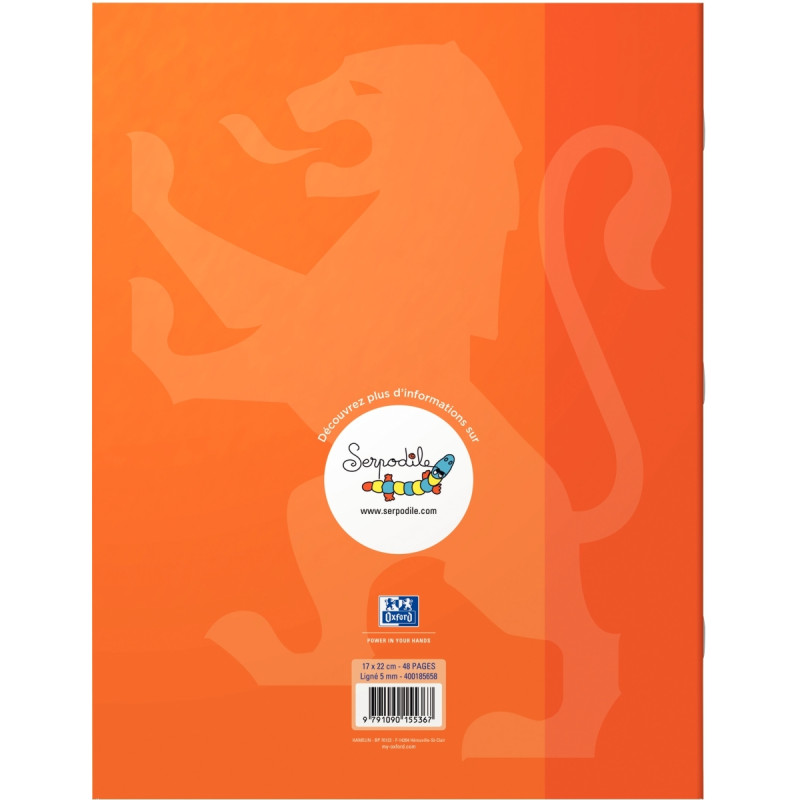 Cahier DYS format 17x22 cm, 48 pages interligne 5 mm