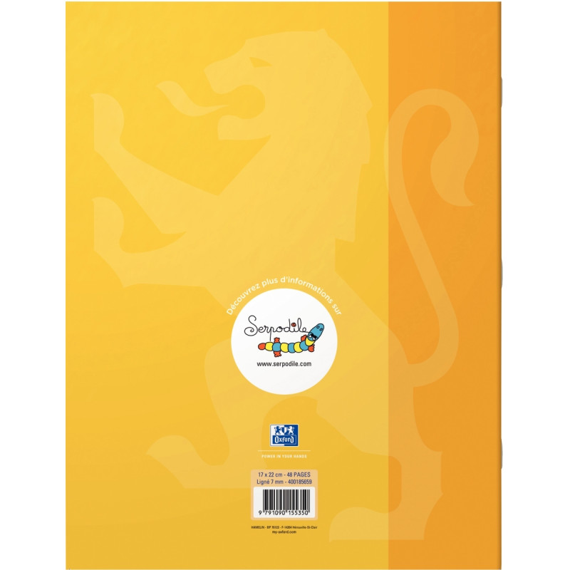 Cahier DYS format 17x22 cm, 48 pages interligne 7 mm