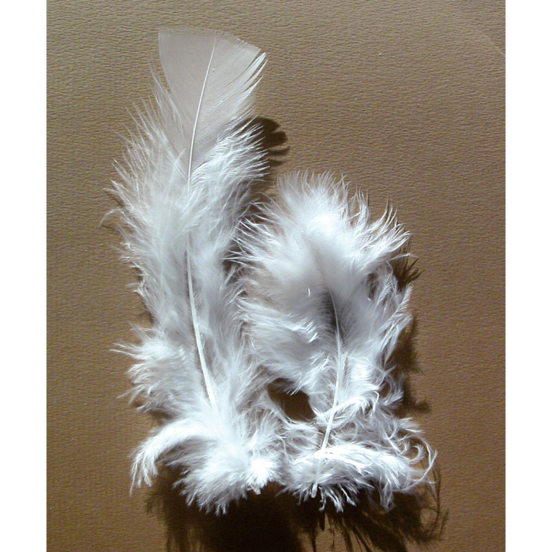Sachet de 25 grammes de plumes de dinde, pieds plats blanc
