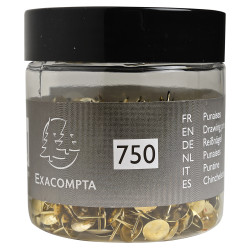 Boîte de 750 punaises en laiton - Hauteur de pointe 9mm - 9,5mm de diamètre