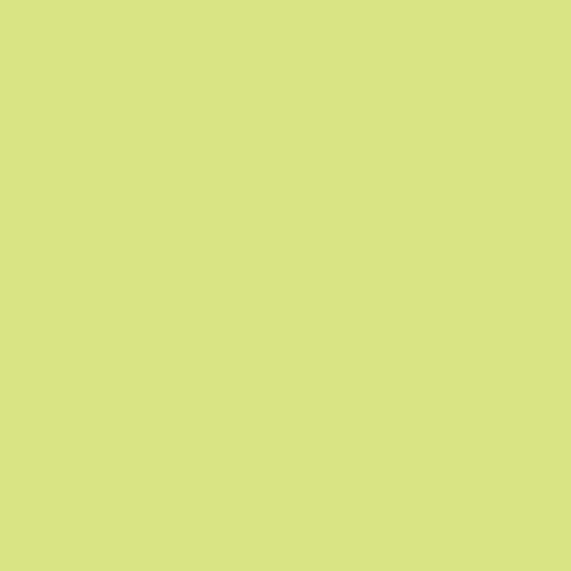 Paquet de 25 feuilles CARTOLINE 50x65cm vert clair