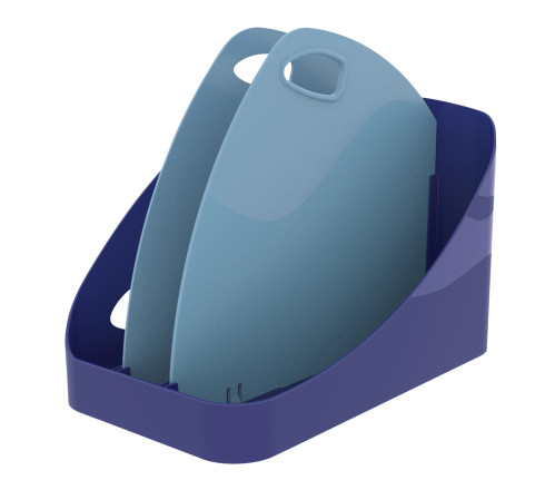 Flex Box Bee Blue
