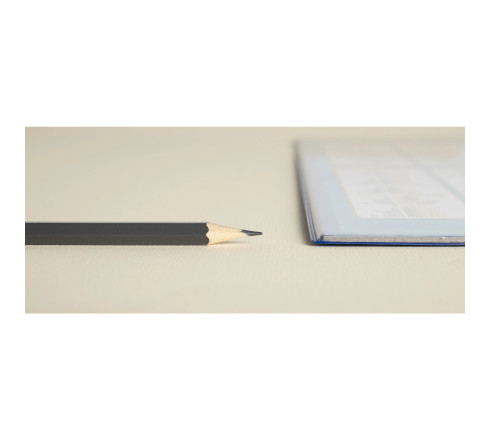 Sous-main rigide PVC France - 37,5x57,5cm