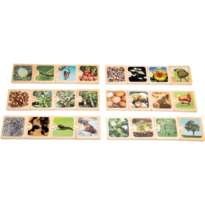 Boite de 6 puzzles en bois, cycles de vie