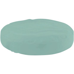 Coussin diamètre 40 x 10cm menthe