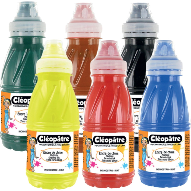 Lot de 6 Flacons 250 ml d'encre de Chine