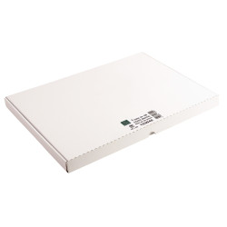 Boîte de 100 fiches bristol non perforées carte forte 205 g uni blanc
