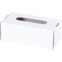 Lot de 10 boîtes à mouchoirs en carton blanc