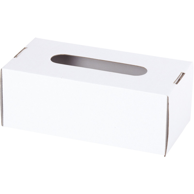 Lot de 10 boîtes à mouchoirs en carton blanc
