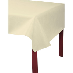 Nappe en rouleau spunbond, indéchirable et épongeable -1,20 x 20m