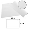 Barquette de 100 sets de table spundbond, unis - Format 30x40cm