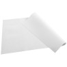 Barquette de 100 sets de table spundbond, unis - Format 30x40cm