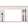 Barquette de 100 sets de table spundbond, unis - Format 30x40cm