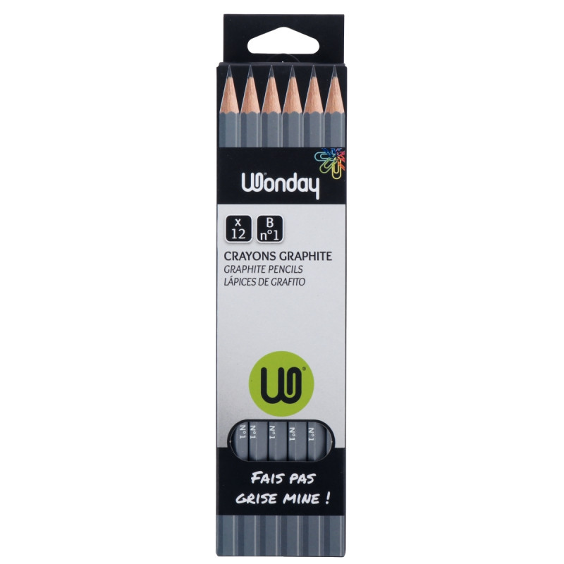 Boîte de 12 crayons graphite standard B