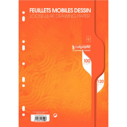Feuillets mobiles 100 pages dessin 120g, format A4, uni blanc