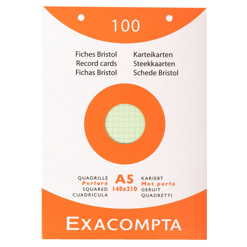 Boite 100 fiches bristol perforées carte forte 205g coloris assortis q
