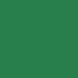 Paquet de 25 feuilles CARTOLINE 50x65cm vert foncé