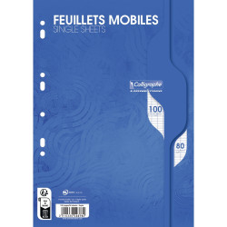Feuillets mobiles 100 pages 80g, format A4, seyès blanc