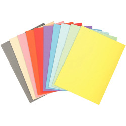 Paquet de 100 chemises 170g FOREVER format 24x32 cm, coloris assortis