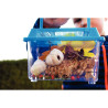 Carton de 2 boites à insectes en plastique
