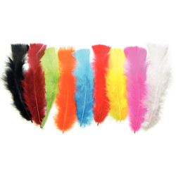 Sachet de 25 grammes de plumes de dinde, couleurs assorties