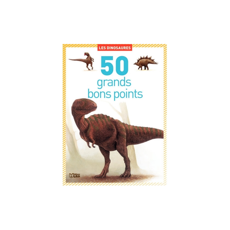 Boite de 50 grandes images Les dinosaures