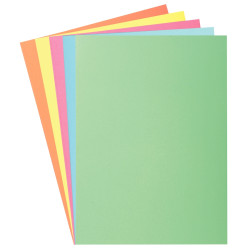 Paquet de 100 sous-chemises 60g format 22x31 cm coloris assortis